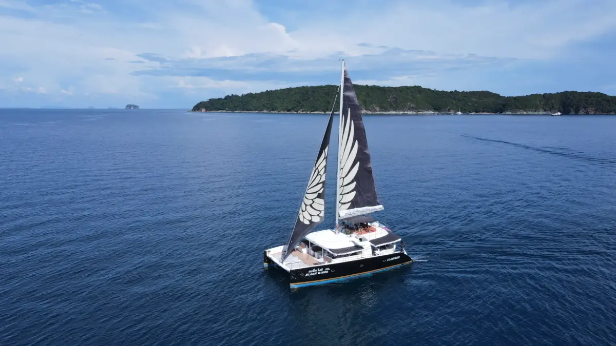 Black Wing 54 ft — photo 2
