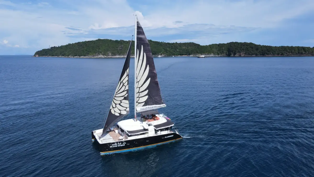 Black Wing 54 ft — photo 3