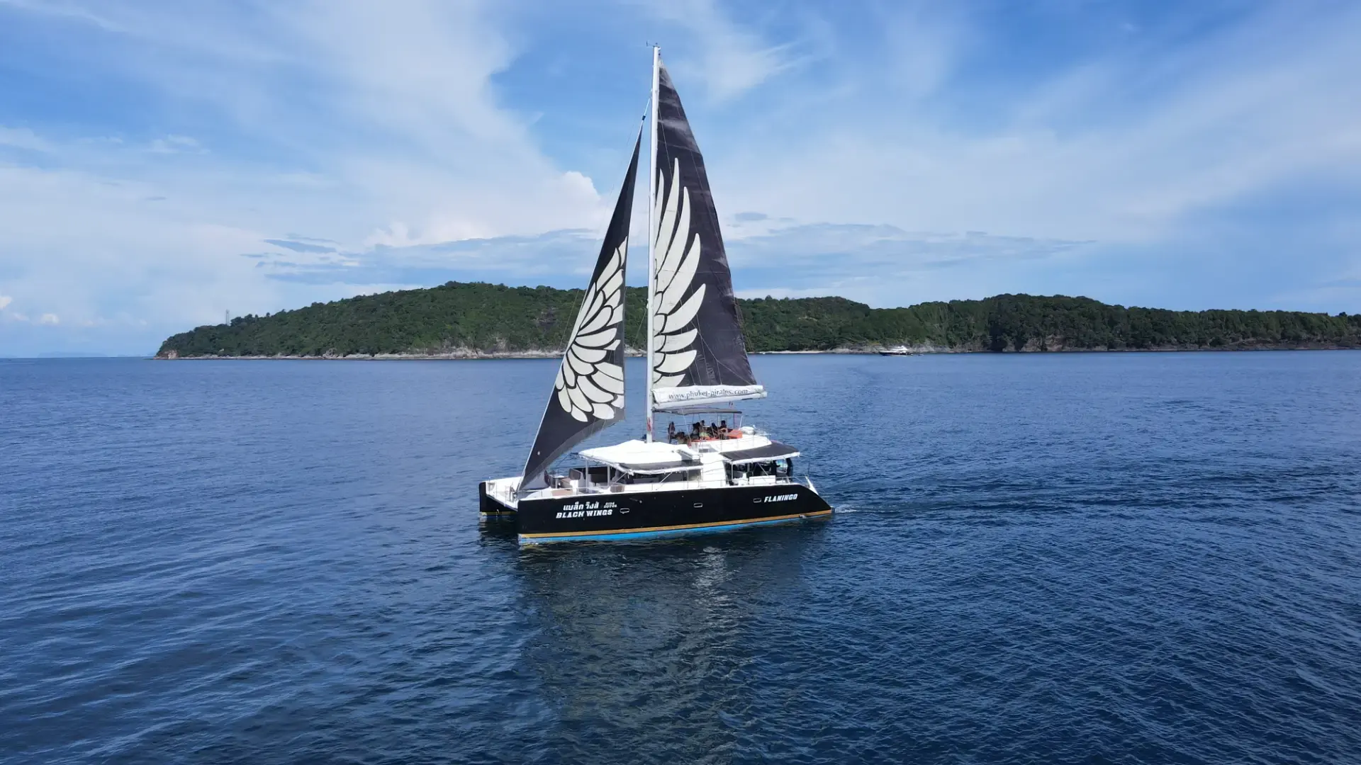Black Wing 54 ft