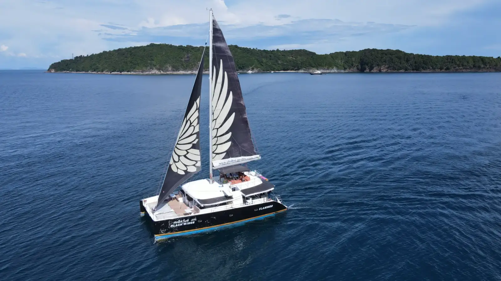 Black Wing 54 ft — photo 4