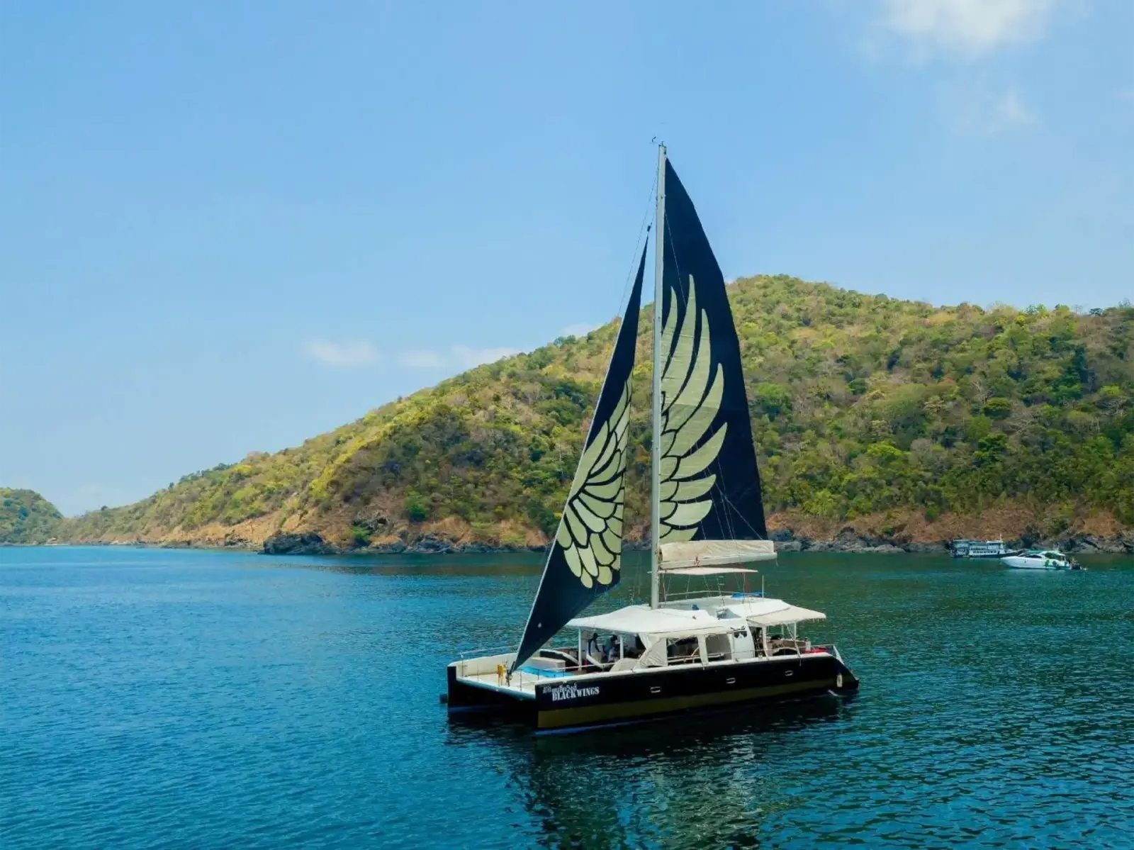 Black Wing 54 ft — photo 5