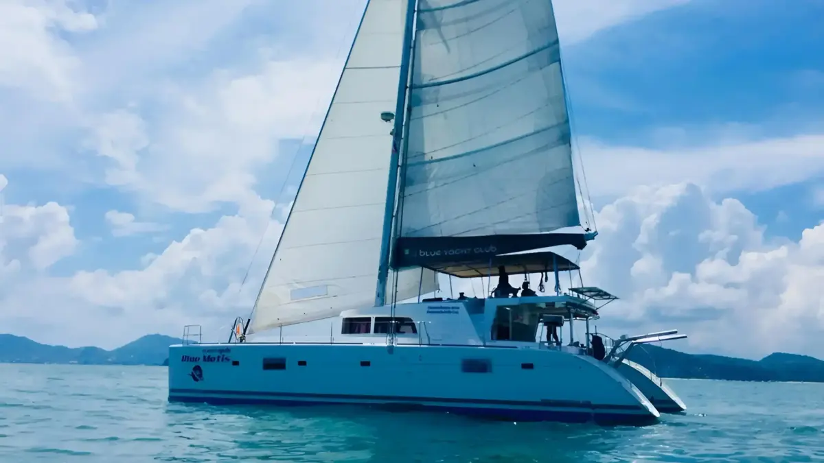 Bluemetis 50 ft — photo 2