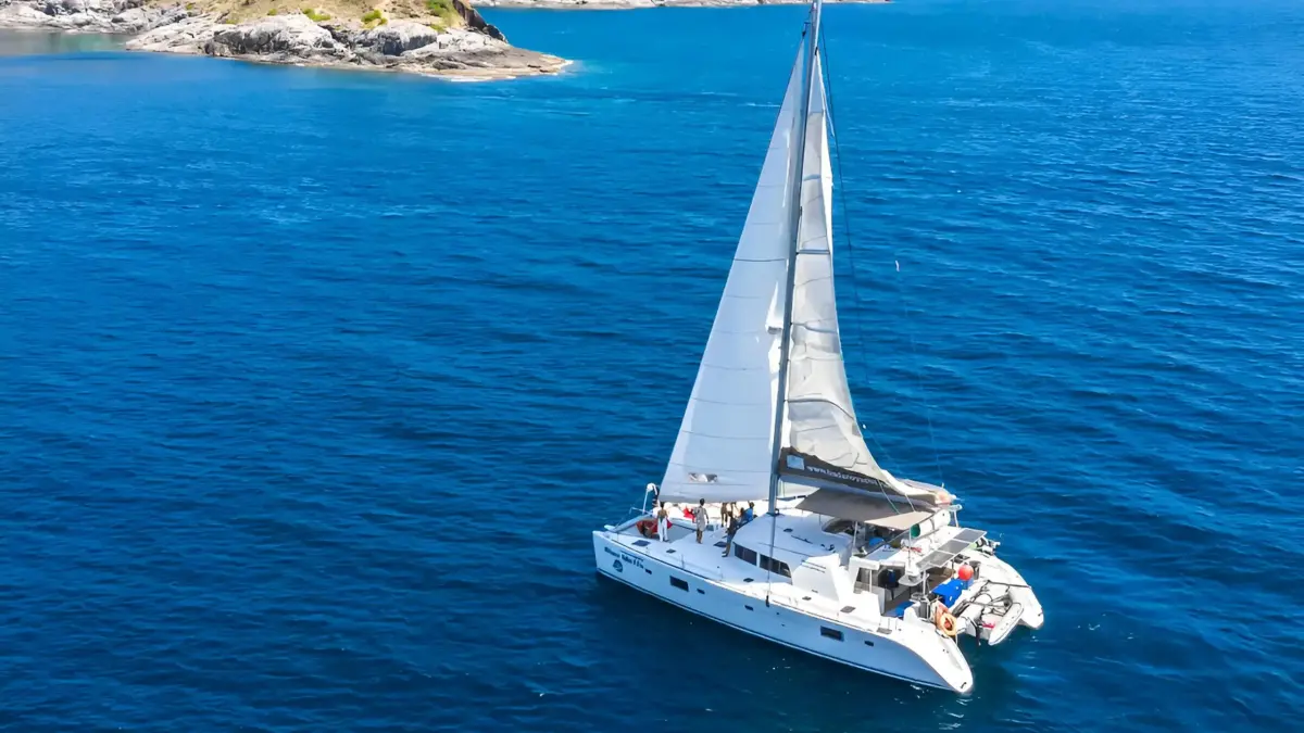 Bluemetis 50 ft — photo 3