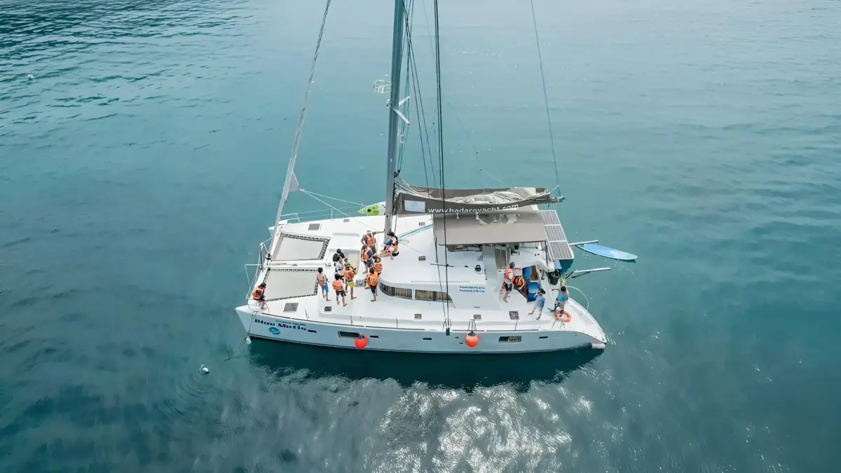 Bluewing 44 ft