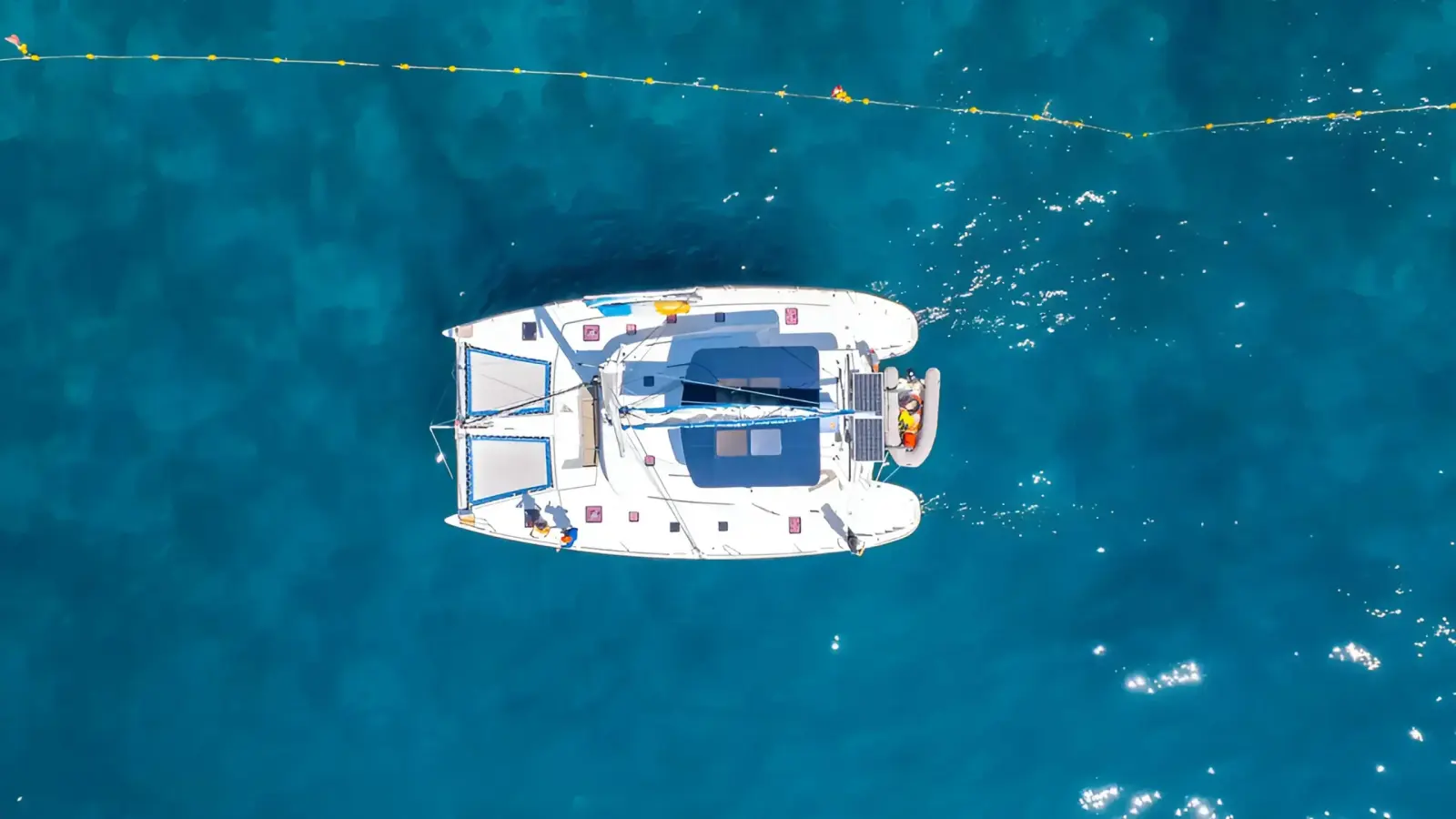 Bluewing 44 ft — photo 4