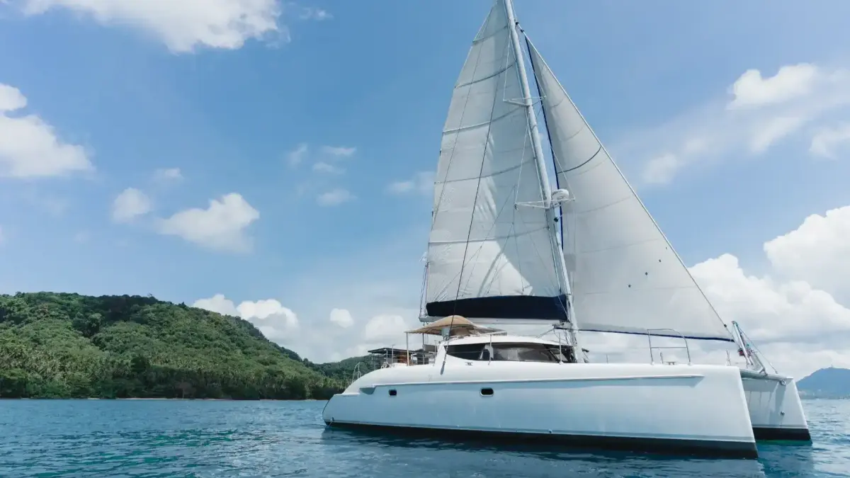 Coco 40 ft — photo 2
