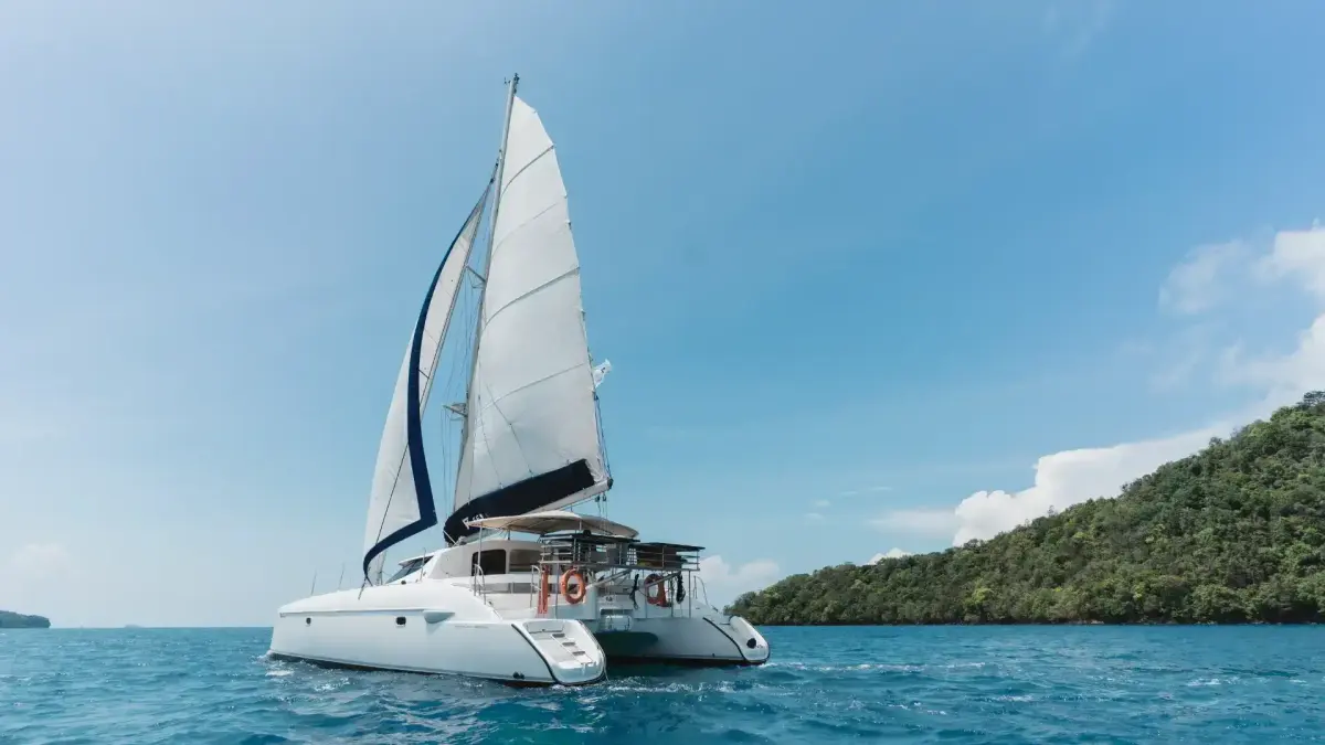 Coco 40 ft — photo 3