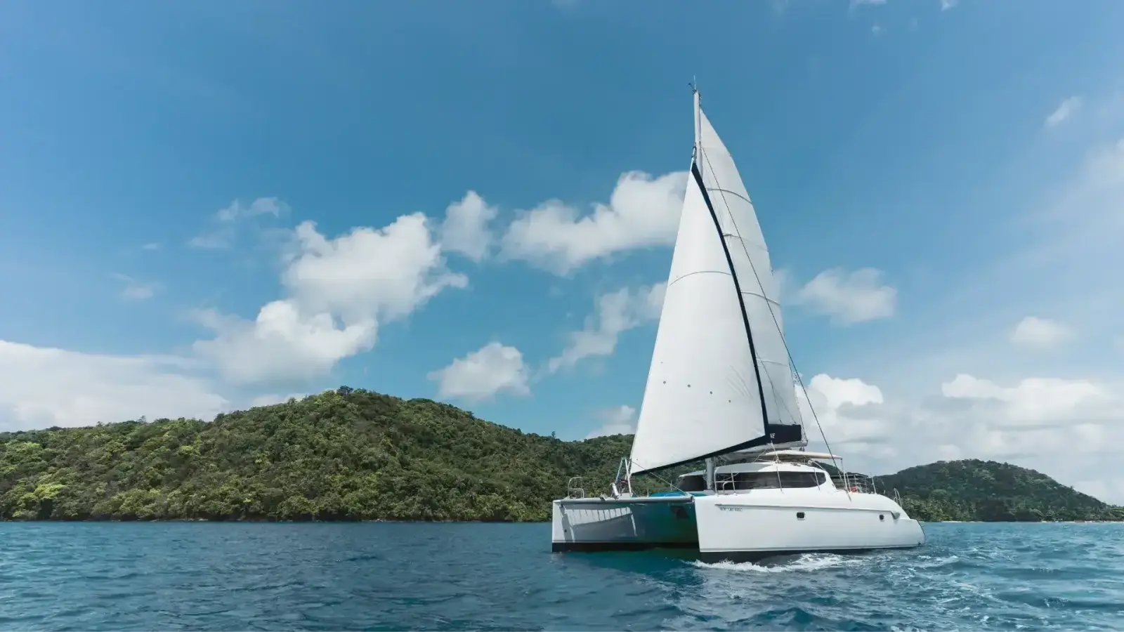 Coco 40 ft — photo 4