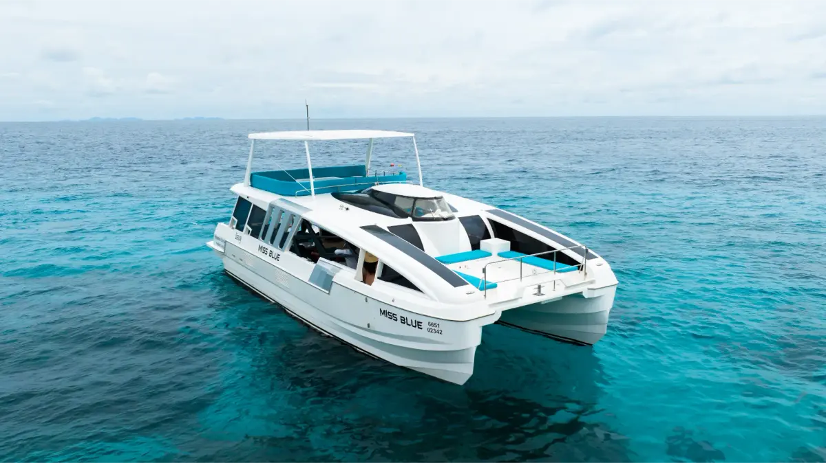 Missblue 49 ft — photo 3