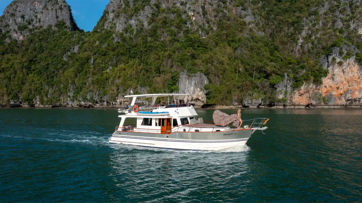Sambuca 53 ft — photo 2