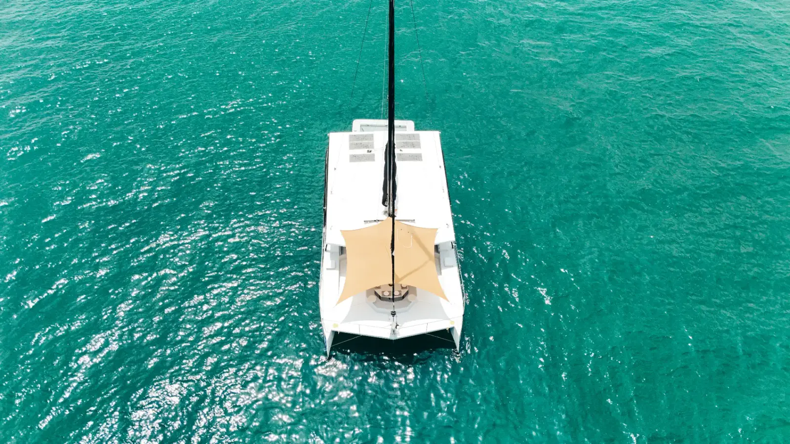 Satisfaction 55 ft — photo 4
