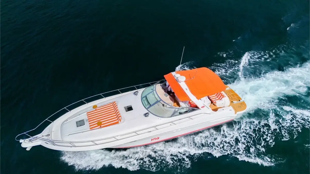 Vodka 46 ft — photo 2