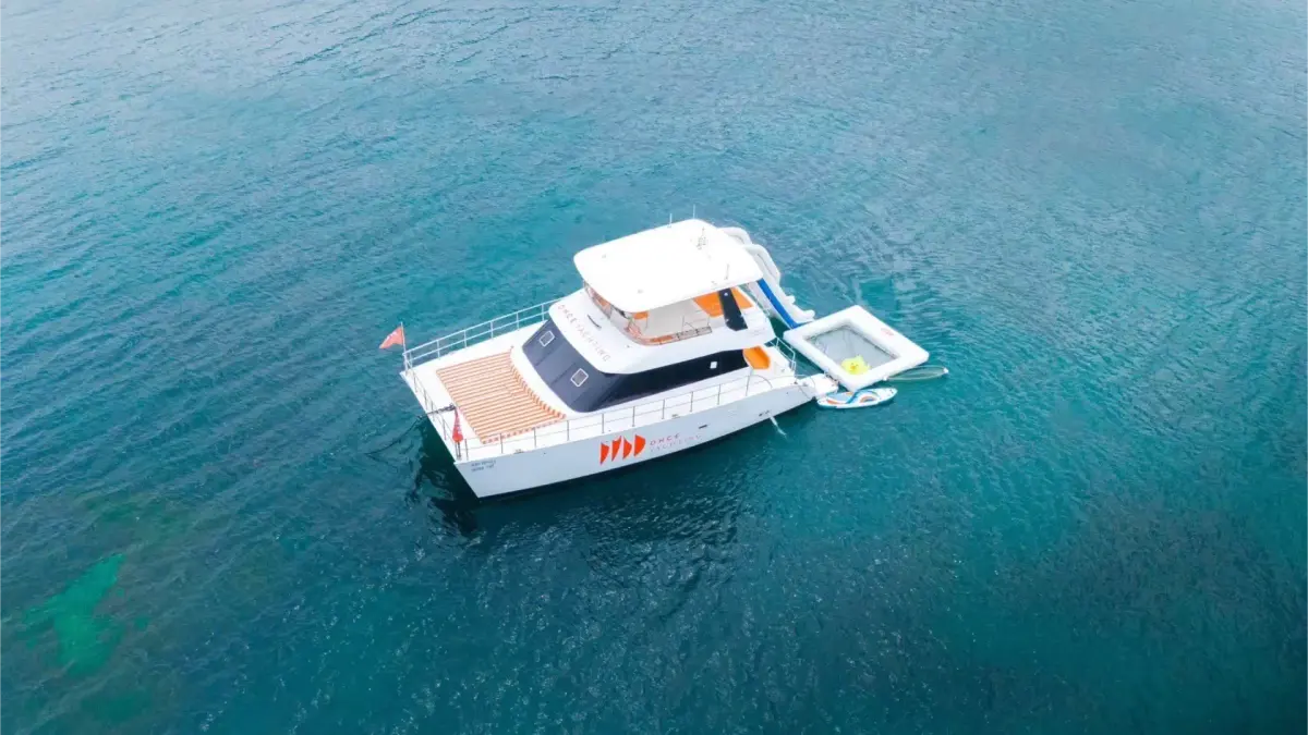 Whisky 48 ft — photo 3