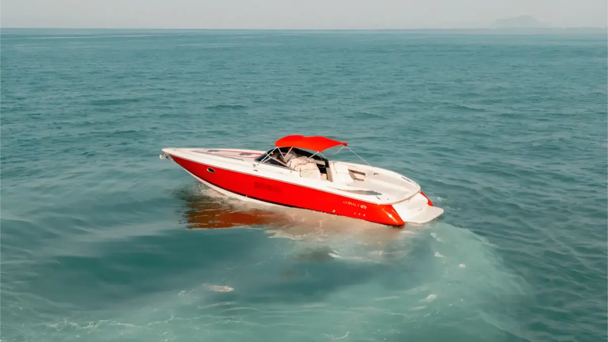 Zoom 37 ft — photo 2