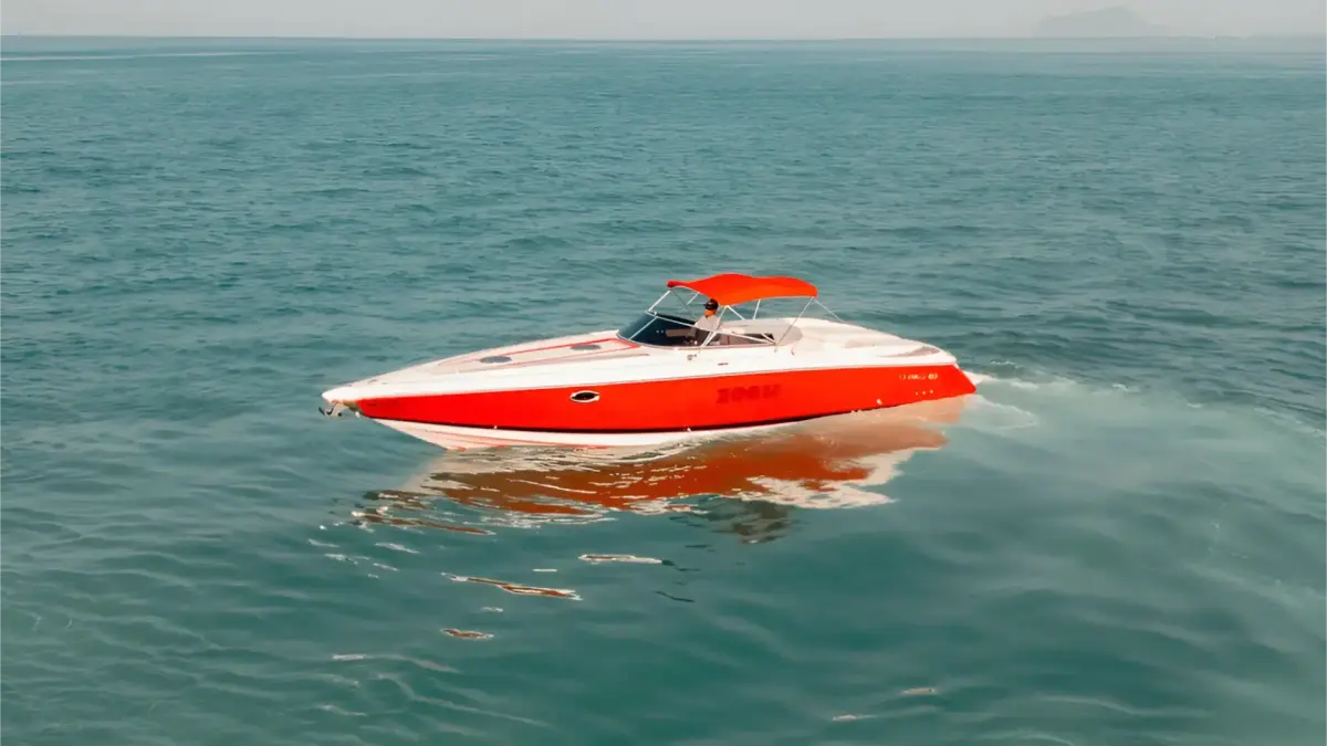Zoom 37 ft — photo 3
