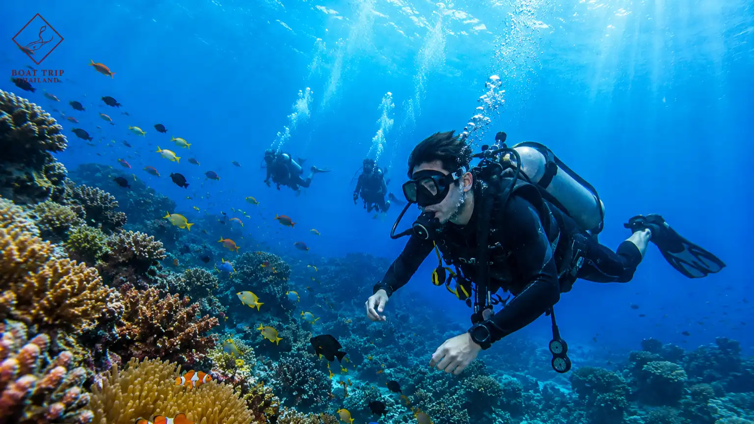 Scuba Diving Phuket Private Boat: How It Differs From a Group Dive Tour